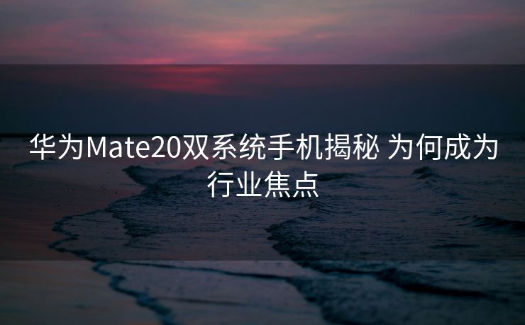 华为Mate20双系统手机揭秘 为何成为行业焦点