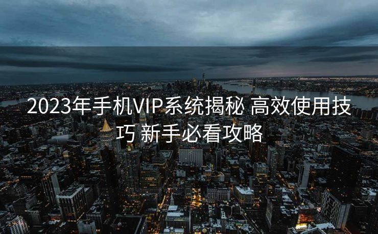 2023年手机VIP系统揭秘 高效使用技巧 新手必看攻略
