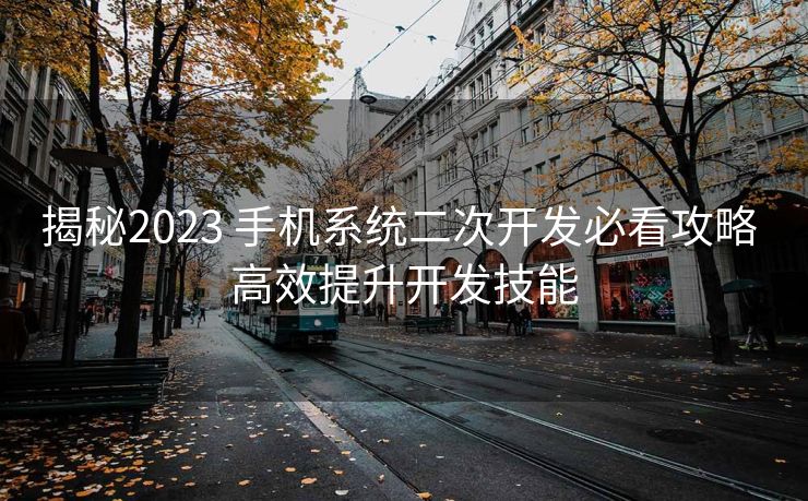 揭秘2023 手机系统二次开发必看攻略 高效提升开发技能