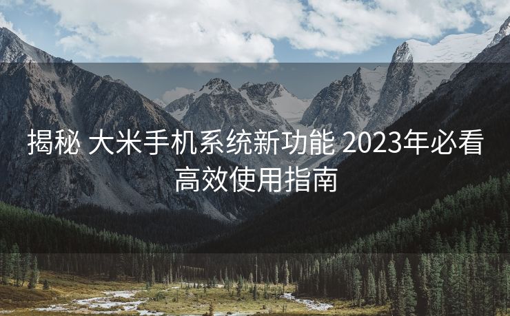 揭秘 大米手机系统新功能 2023年必看高效使用指南
