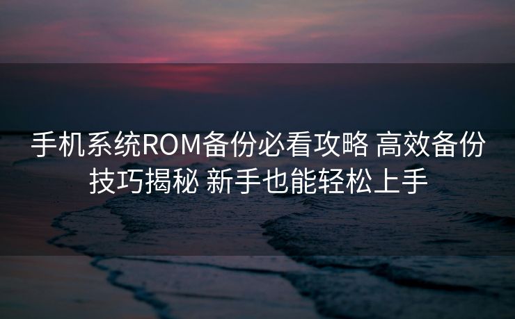 手机系统ROM备份必看攻略 高效备份技巧揭秘 新手也能轻松上手