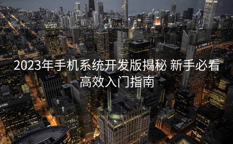 2023年手机系统开发版揭秘 新手必看高效入门指南