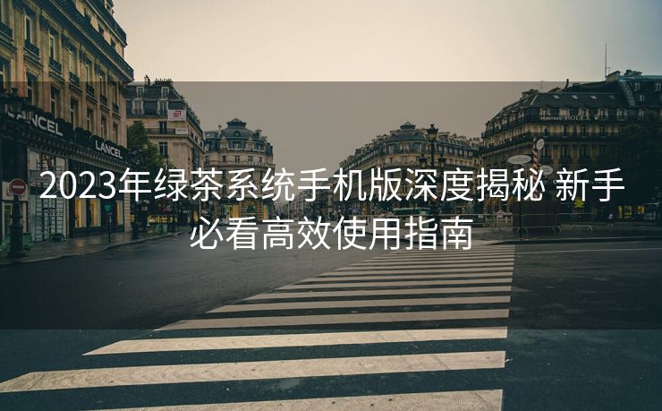 2023年绿茶系统手机版深度揭秘 新手必看高效使用指南