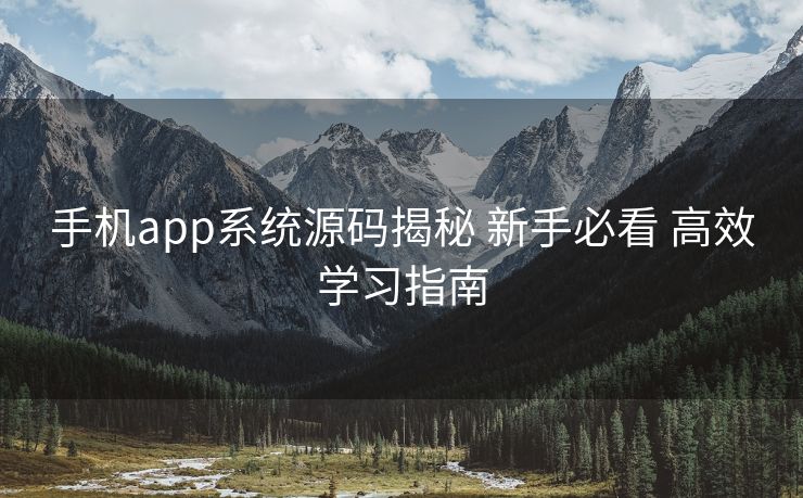 手机app系统源码揭秘 新手必看 高效学习指南