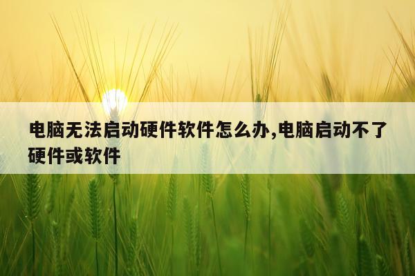 电脑无法启动硬件软件怎么办,电脑启动不了硬件或软件