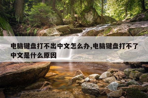 电脑键盘打不出中文怎么办,电脑键盘打不了中文是什么原因