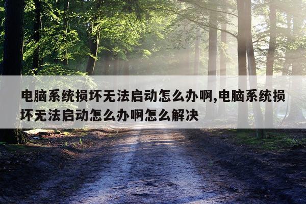 电脑系统损坏无法启动怎么办啊,电脑系统损坏无法启动怎么办啊怎么解决