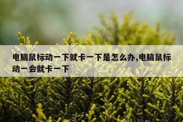 电脑鼠标动一下就卡一下是怎么办,电脑鼠标动一会就卡一下