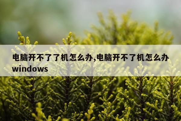 电脑开不了了机怎么办,电脑开不了机怎么办windows