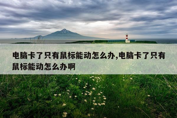 电脑卡了只有鼠标能动怎么办,电脑卡了只有鼠标能动怎么办啊