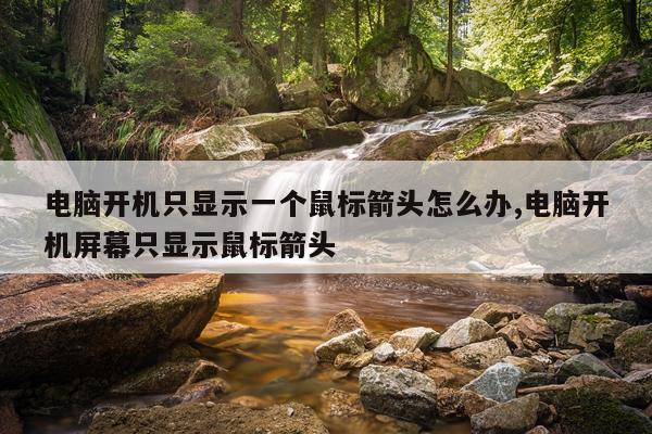 电脑开机只显示一个鼠标箭头怎么办,电脑开机屏幕只显示鼠标箭头