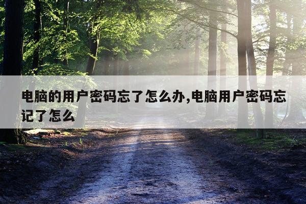 电脑的用户密码忘了怎么办,电脑用户密码忘记了怎么