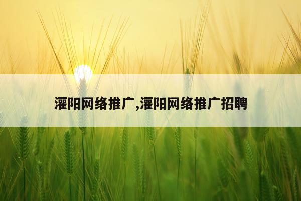灌阳网络推广,灌阳网络推广招聘