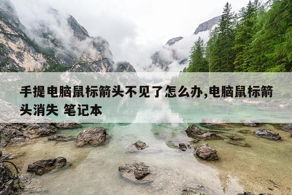手提电脑鼠标箭头不见了怎么办,电脑鼠标箭头消失 笔记本
