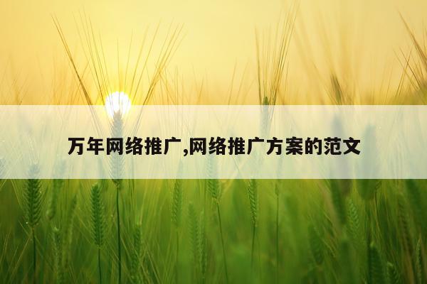 万年网络推广,网络推广方案的范文