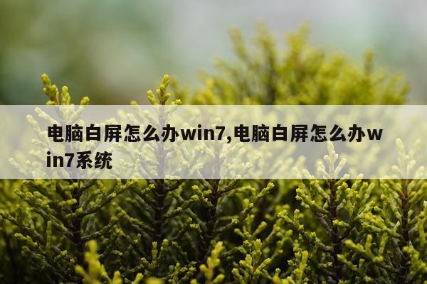 电脑白屏怎么办win7,电脑白屏怎么办win7系统