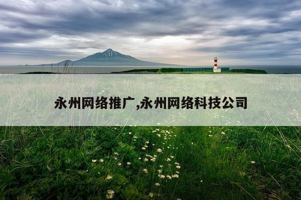永州网络推广,永州网络科技公司