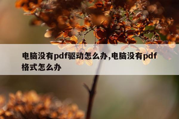 电脑没有pdf驱动怎么办,电脑没有pdf格式怎么办
