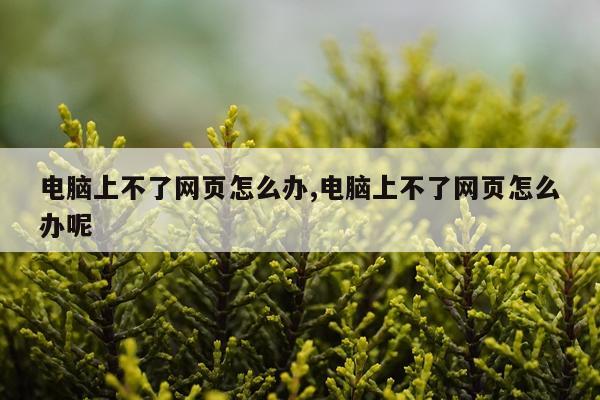 电脑上不了网页怎么办,电脑上不了网页怎么办呢