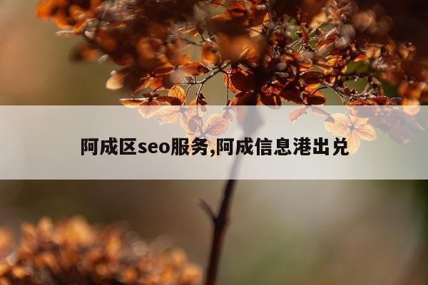 阿成区seo服务,阿成信息港出兑