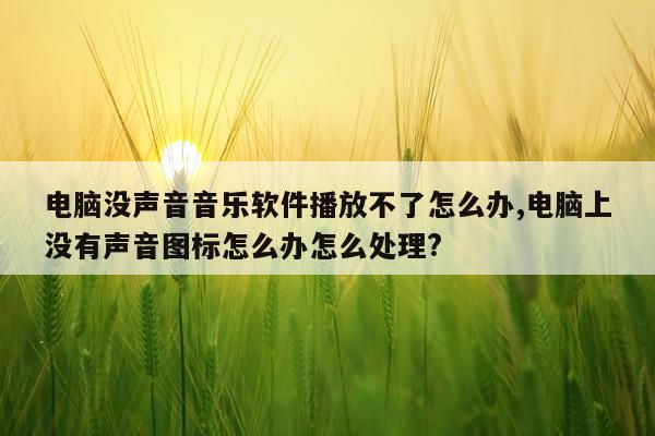 电脑没声音音乐软件播放不了怎么办,电脑上没有声音图标怎么办怎么处理?