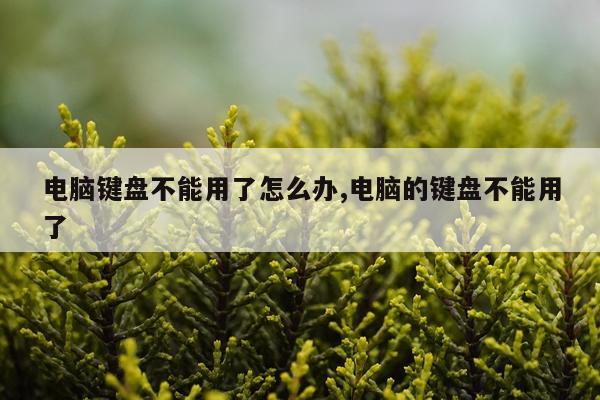 电脑键盘不能用了怎么办,电脑的键盘不能用了
