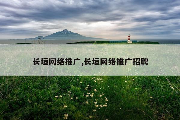 长垣网络推广,长垣网络推广招聘