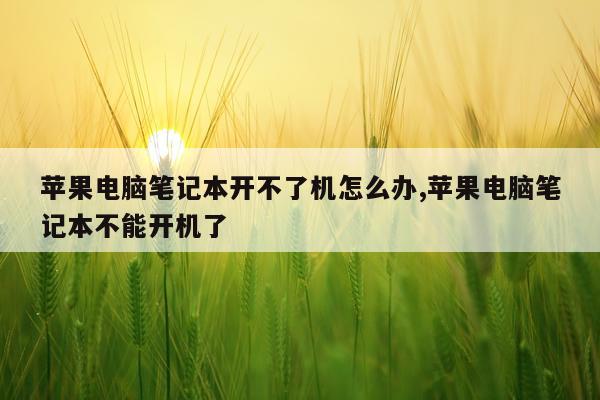 苹果电脑笔记本开不了机怎么办,苹果电脑笔记本不能开机了