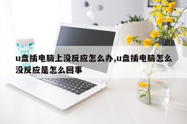 u盘插电脑上没反应怎么办,u盘插电脑怎么没反应是怎么回事