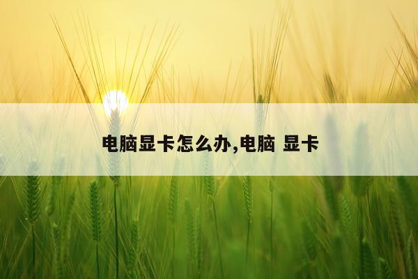 电脑显卡怎么办,电脑 显卡