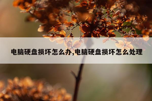 电脑硬盘损坏怎么办,电脑硬盘损坏怎么处理