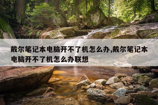 戴尔笔记本电脑开不了机怎么办,戴尔笔记本电脑开不了机怎么办联想