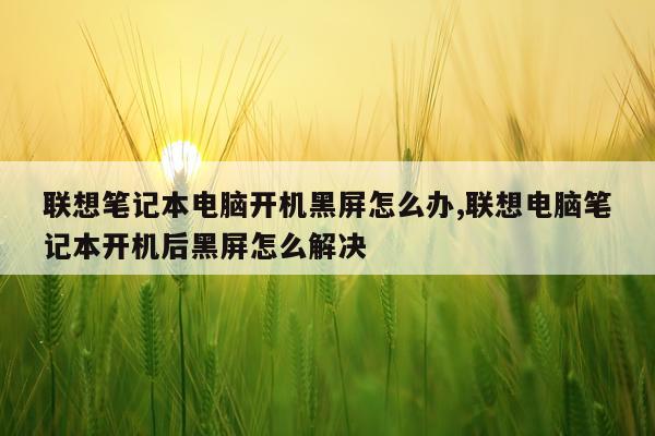联想笔记本电脑开机黑屏怎么办,联想电脑笔记本开机后黑屏怎么解决