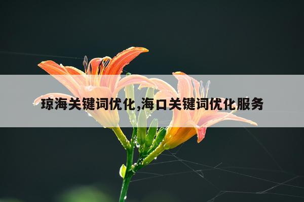 琼海关键词优化,海口关键词优化服务