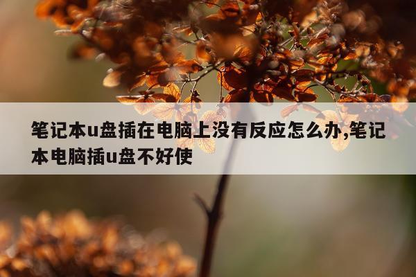 笔记本u盘插在电脑上没有反应怎么办,笔记本电脑插u盘不好使