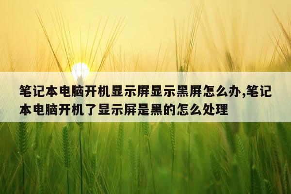 笔记本电脑开机显示屏显示黑屏怎么办,笔记本电脑开机了显示屏是黑的怎么处理