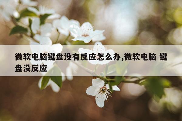 微软电脑键盘没有反应怎么办,微软电脑 键盘没反应