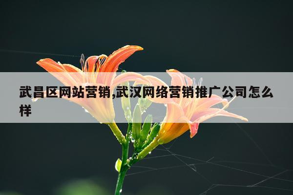 武昌区网站营销,武汉网络营销推广公司怎么样