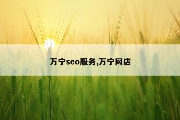 万宁seo服务,万宁网店