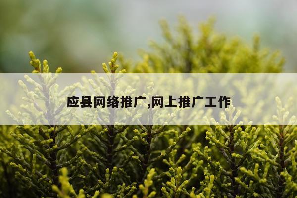 应县网络推广,网上推广工作