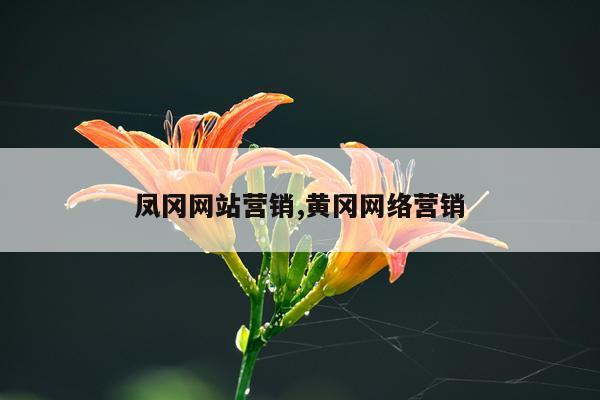 凤冈网站营销,黄冈网络营销