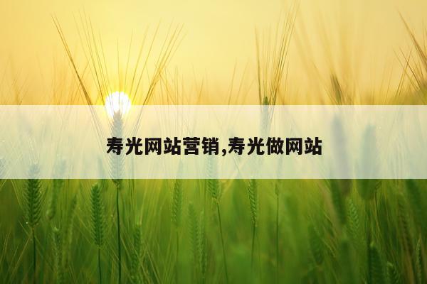 寿光网站营销,寿光做网站