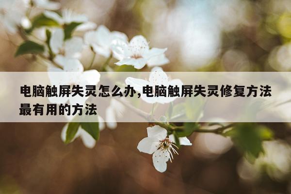 电脑触屏失灵怎么办,电脑触屏失灵修复方法最有用的方法
