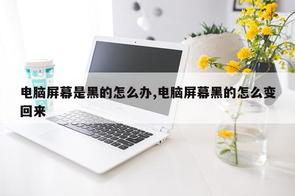 电脑屏幕是黑的怎么办,电脑屏幕黑的怎么变回来