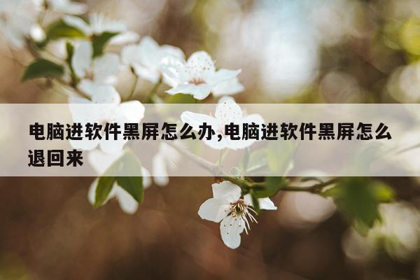 电脑进软件黑屏怎么办,电脑进软件黑屏怎么退回来