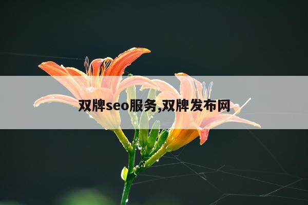 双牌seo服务,双牌发布网