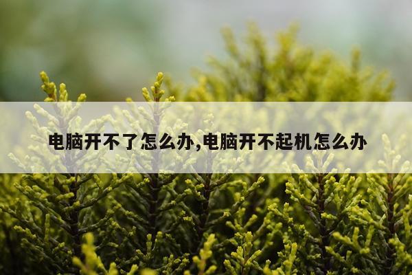 电脑开不了怎么办,电脑开不起机怎么办