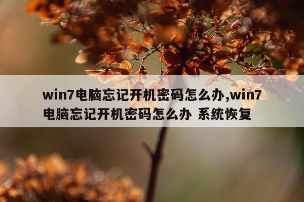 win7电脑忘记开机密码怎么办,win7电脑忘记开机密码怎么办 系统恢复