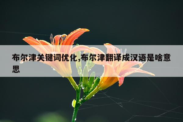 布尔津关键词优化,布尔津翻译成汉语是啥意思