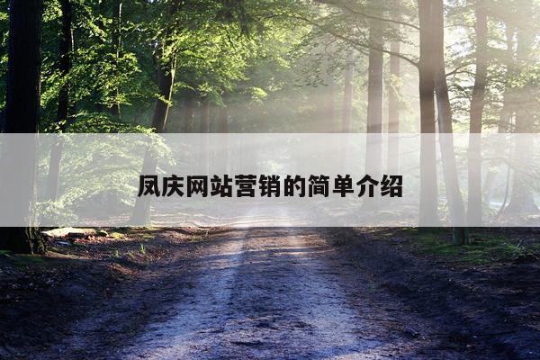 凤庆网站营销的简单介绍